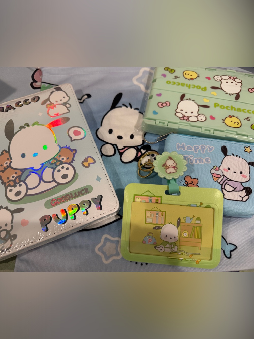 Pochacco Bundle! Small bag-plastic crate- notebook-keychain purse-badge.